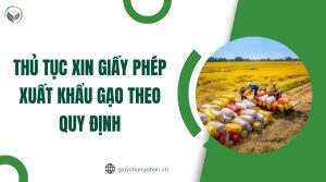 Thủ tục xin giấy phép xuất khẩu gạo theo quy định
