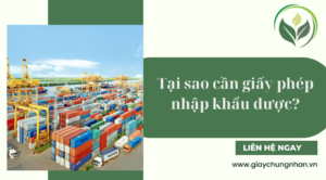 Tại sao cần giấy phép nhập khẩu dược?