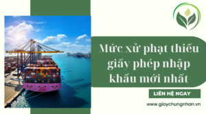 Mức xử phạt thiếu giấy phép nhập khẩu mới nhất