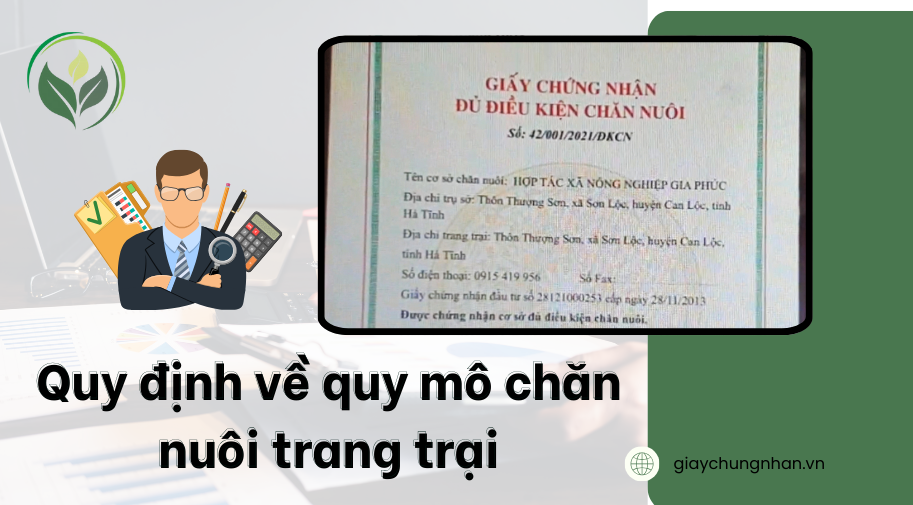 Quy định về quy mô chăn nuôi trang trại