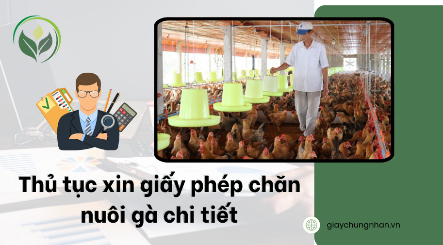 Thủ tục xin giấy phép chăn nuôi gà chi tiết