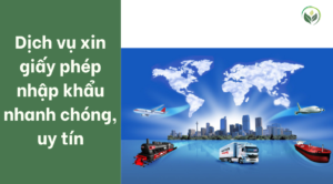 Dịch vụ xin giấy phép nhập khẩu nhanh chóng, uy tín