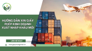 Hướng dẫn xin giấy phép kinh doanh xuất nhập khẩu mới