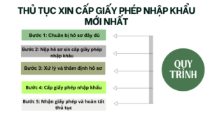 Thủ tục xin cấp giấy phép nhập khẩu mới nhất