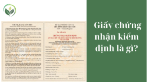  Giấy chứng nhận kiểm định là gì?