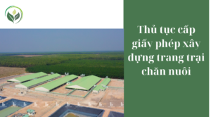 Thủ tục cấp giấy phép xây dựng trang trại chăn nuôi