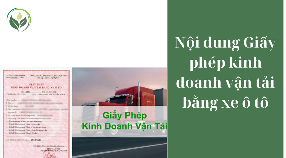 Nội dung Giấy phép kinh doanh vận tải bằng xe ô tô