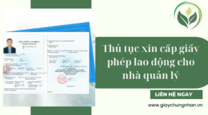 Thủ tục xin cấp giấy phép lao động cho nhà quản lý