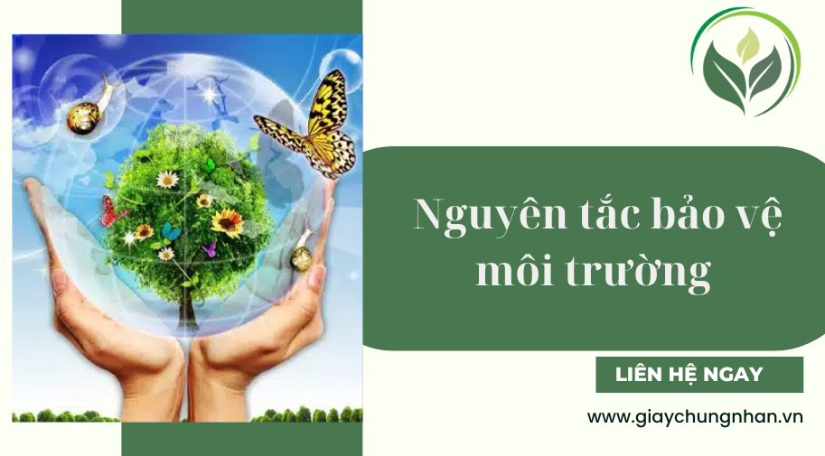 Nguyên tắc bảo vệ môi trường