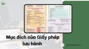  Mục đích của Giấy phép lưu hành