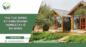 Tại sao nên kinh doanh homestay?