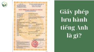 Giấy phép lưu hành tiếng Anh là gì?