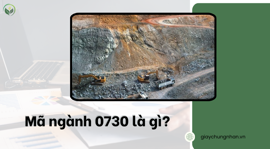 Mã ngành 0730 là gì?