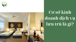 Cơ sở kinh doanh dịch vụ lưu trú là gì?