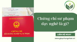 Chứng chỉ sư phạm dạy nghề là gì?
