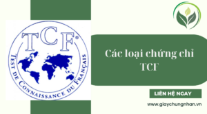 Các loại chứng chỉ TCF