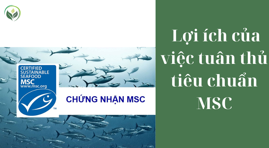  Lợi ích của việc tuân thủ tiêu chuẩn MSC
