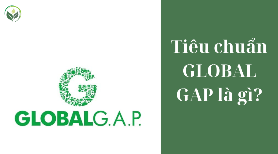 Tiêu chuẩn GLOBAL GAP là gì?