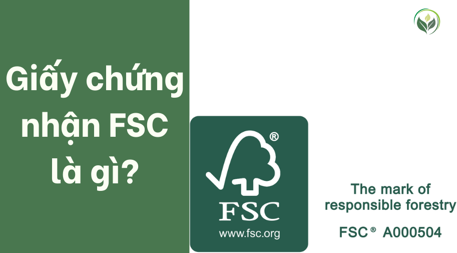 Giấy chứng nhận FSC là gì?