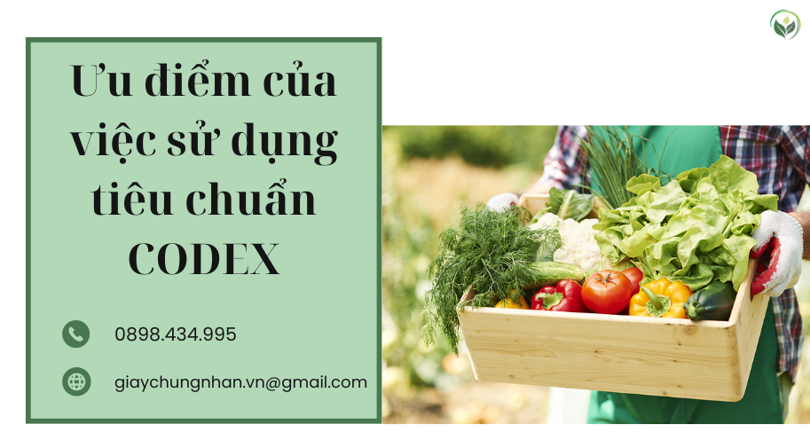 Ưu điểm của việc sử dụng tiêu chuẩn CODEX
