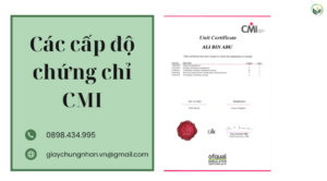 Các cấp độ chứng chỉ CMI