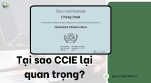 Khẳng định vị thế chuyên gia hàng đầu:Nhận diện toàn cầu: CCIE được công nhận rộng rãi trên toàn thế giới, là minh chứng không thể chối cãi về kiến thức sâu rộng và kỹ năng thực hành cao cấp của bạn trong lĩnh vực mạng Cisco.
Tự tin và uy tín: Với CCIE, bạn sẽ tự tin hơn khi đảm nhận những dự án mạng phức tạp và được khách hàng, đồng nghiệp tôn trọng.
Mở ra nhiều cơ hội nghề nghiệp:
Lương cao và vị trí cao cấp: Người sở hữu CCIE thường được trả mức lương hấp dẫn và có cơ hội thăng tiến nhanh chóng lên các vị trí quản lý cấp cao.
Làm việc trong môi trường chuyên nghiệp: Bạn sẽ được làm việc cùng những chuyên gia hàng đầu trong lĩnh vực mạng, học hỏi và phát triển bản thân.
Nâng cao khả năng giải quyết vấn đề:
Kiến thức toàn diện: Quá trình học tập và thi đạt CCIE giúp bạn nắm vững kiến thức về các công nghệ mạng mới nhất, các giao thức, cấu hình và cách thức hoạt động của hệ thống mạng.
Tại sao CCIE lại quan trọng?