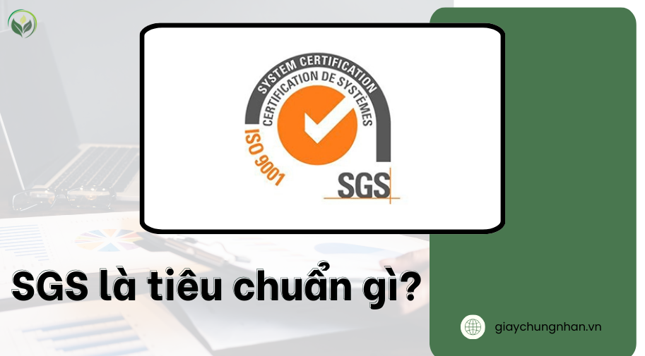 SGS là tiêu chuẩn gì?