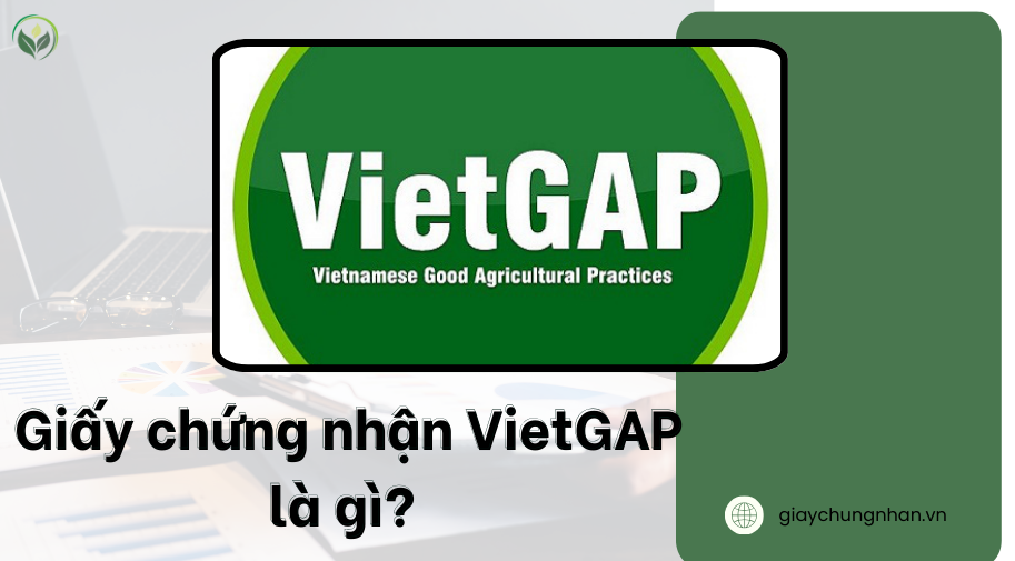 Giấy chứng nhận VietGAP là gì? 