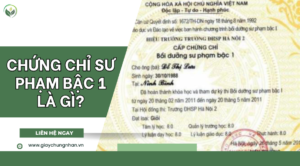 Chứng chỉ sư phạm bậc 1 là gì?