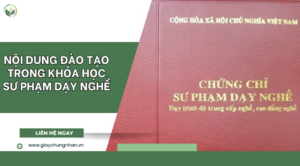 Nội dung đào tạo trong khóa học sư phạm dạy nghề