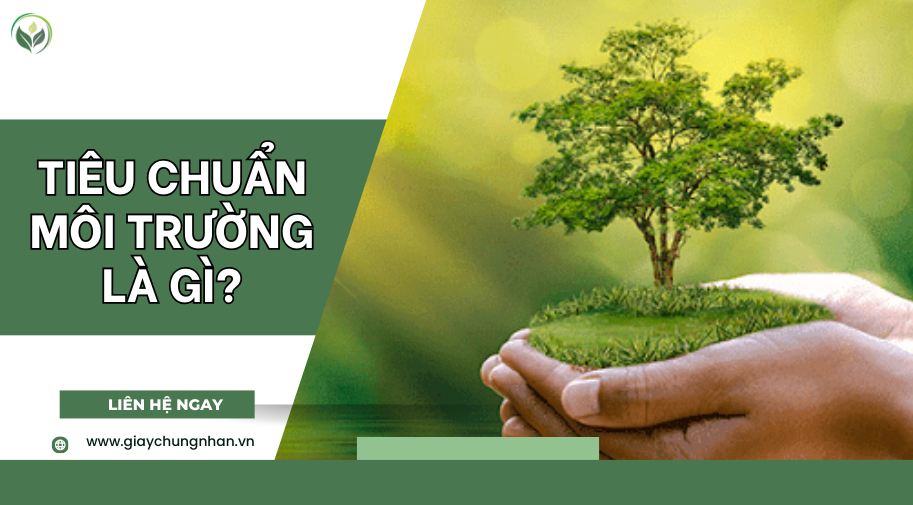 Tiêu chuẩn môi trường là gì?