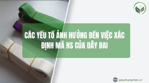 Các yếu tố ảnh hưởng đến việc xác định mã HS của dây đai