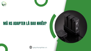 Mã HS Adapter là bao nhiêu