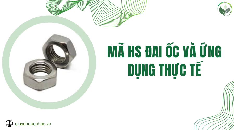 Mã HS đai ốc và ứng dụng thực tế