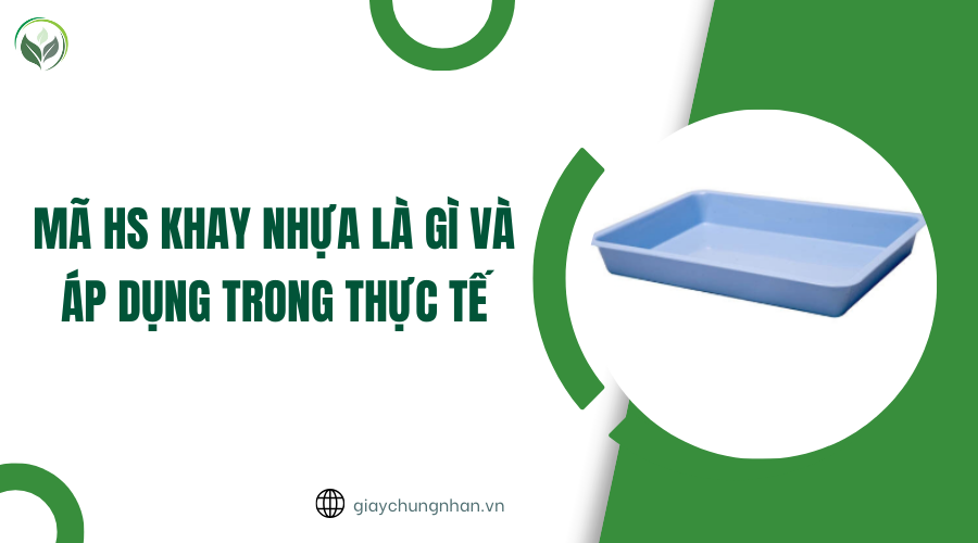 Mã HS khay nhựa là gì và áp dụng trong thực tế
