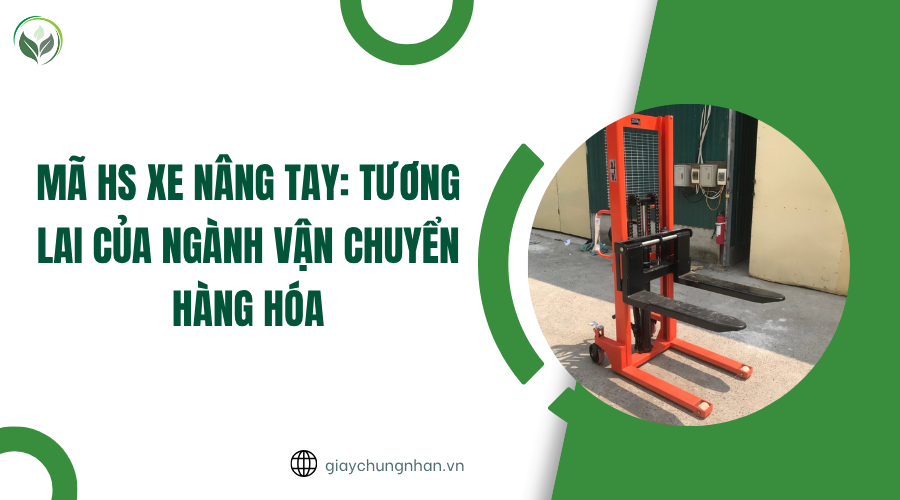 Mã HS xe nâng tay: Tương lai của ngành vận chuyển hàng hóa