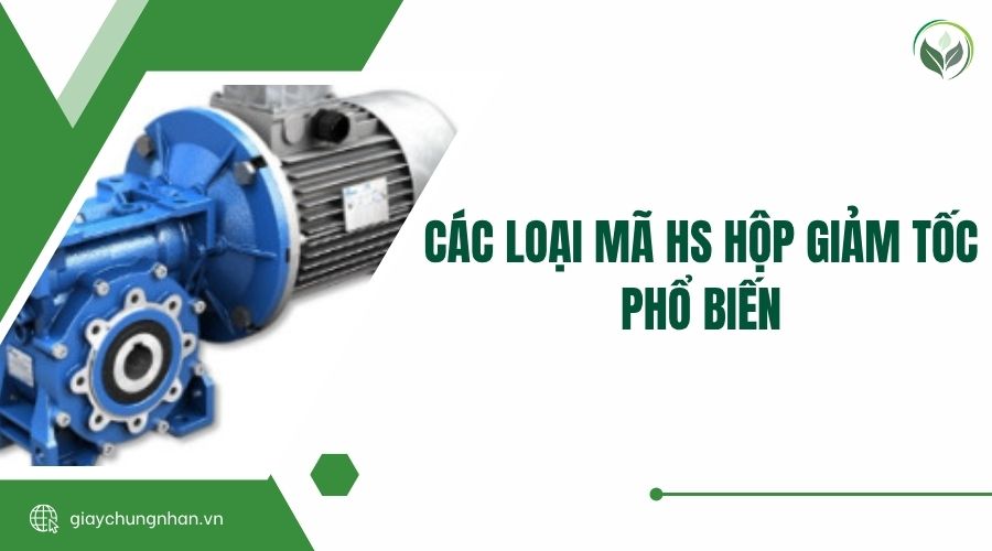Các Loại Mã HS Hộp Giảm Tốc Phổ Biến