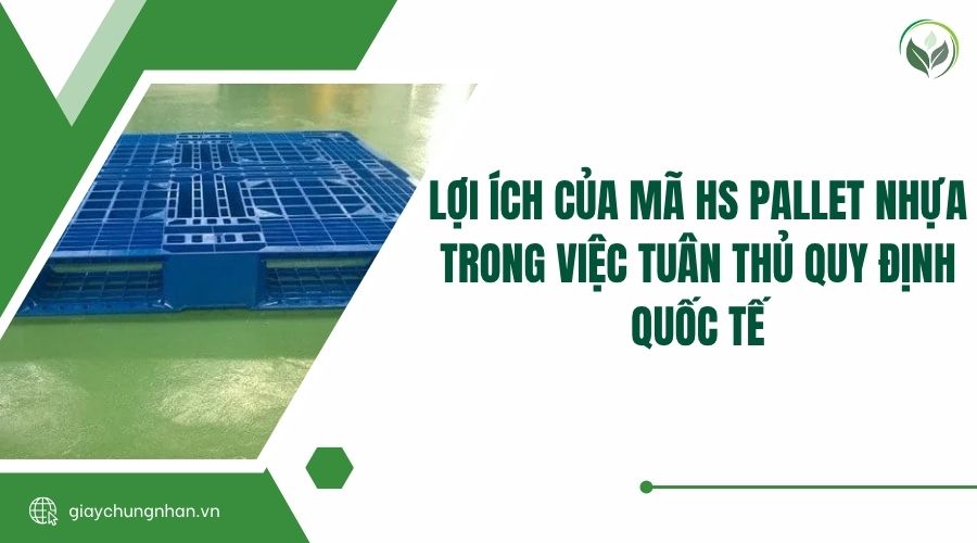 Lợi ích của mã HS pallet nhựa trong việc tuân thủ quy định quốc tế