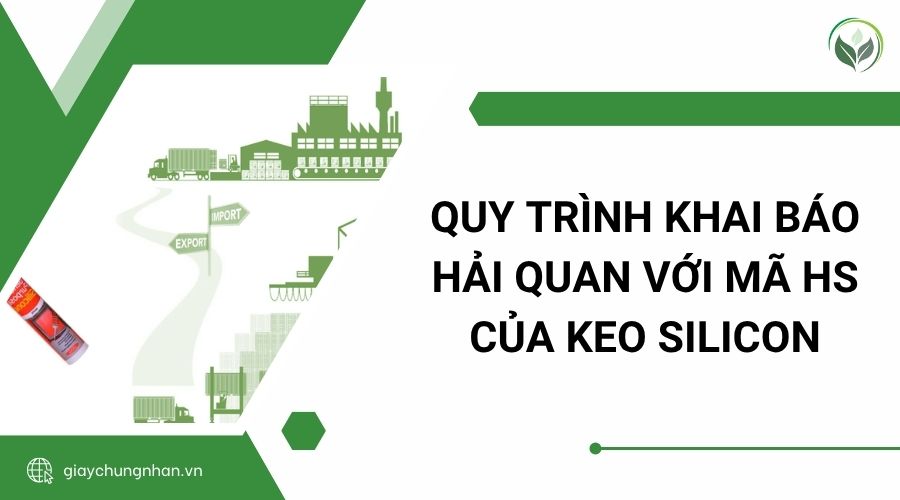 Quy trình khai báo hải quan với mã HS của keo silicon