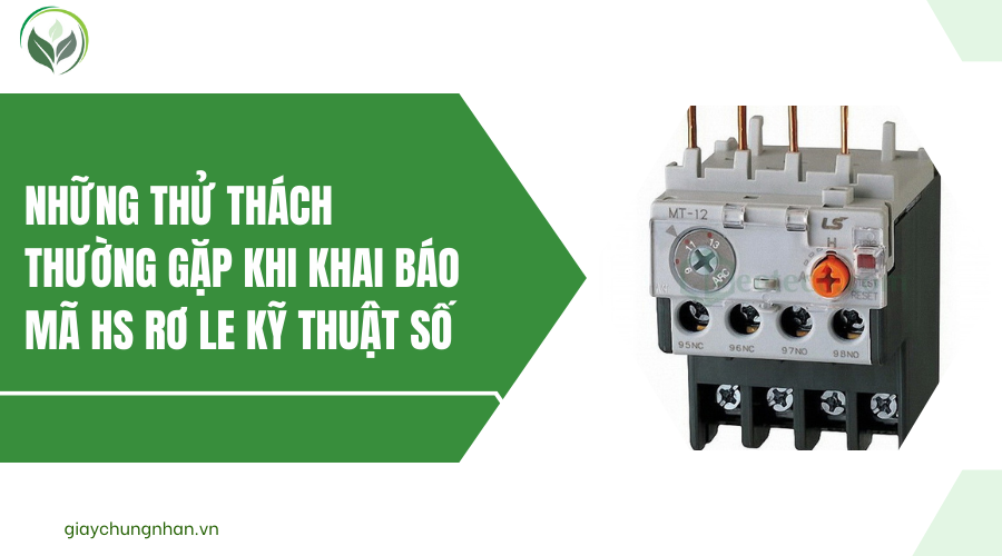 Những thử thách thường gặp khi khai báo mã HS rơ le kỹ thuật số