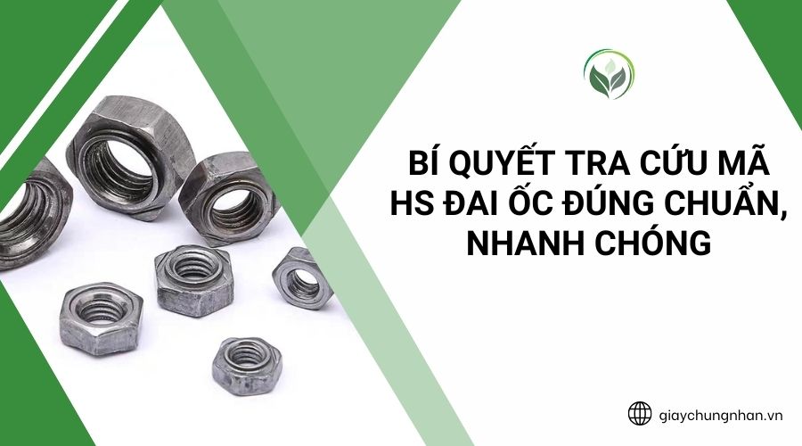 Bí Quyết Tra Cứu Mã HS Đai Ốc Đúng Chuẩn, Nhanh Chóng