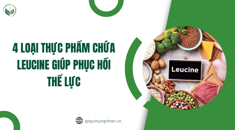 4 loại thực phẩm chứa Leucine giúp phục hồi thể lực
