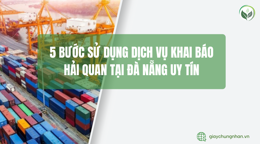 5 bước sử dụng dịch vụ khai báo hải quan tại Đà Nẵng uy tín