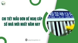 Chi tiết mẫu đơn đề nghị cấp số nhà mới nhất năm nay.jpg