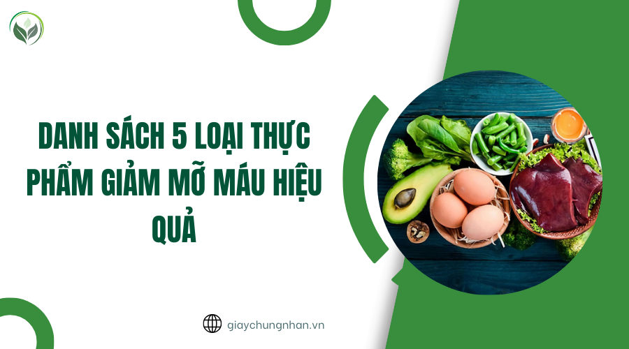 Danh sách 5 loại thực phẩm giảm mỡ máu hiệu quả
