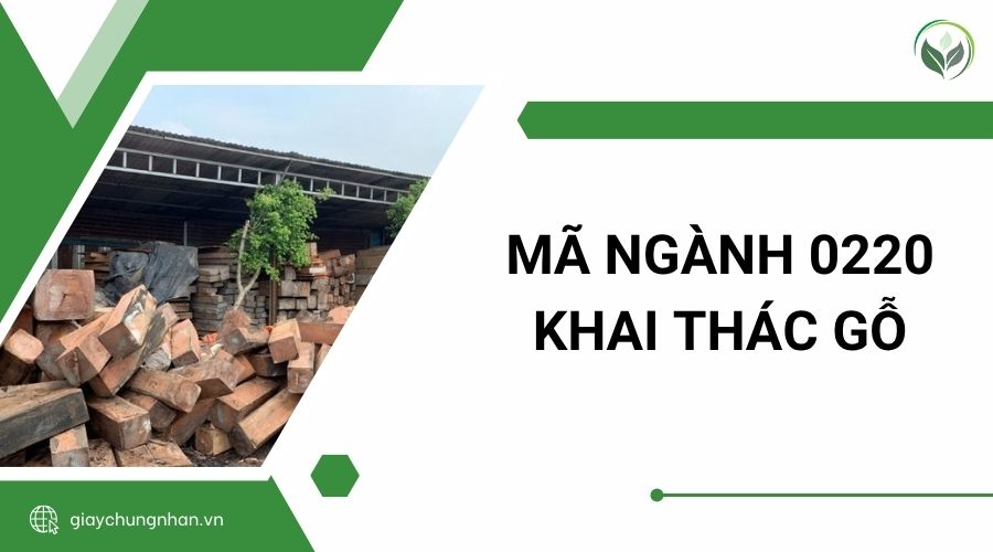 Mã Ngành 0220 Khai Thác Gỗ