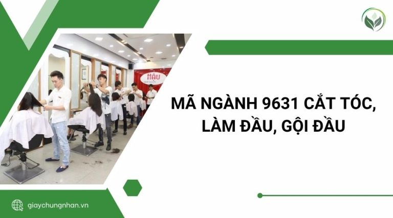 Mã Ngành 9631 Cắt Tóc, Làm đầu, Gội đầu