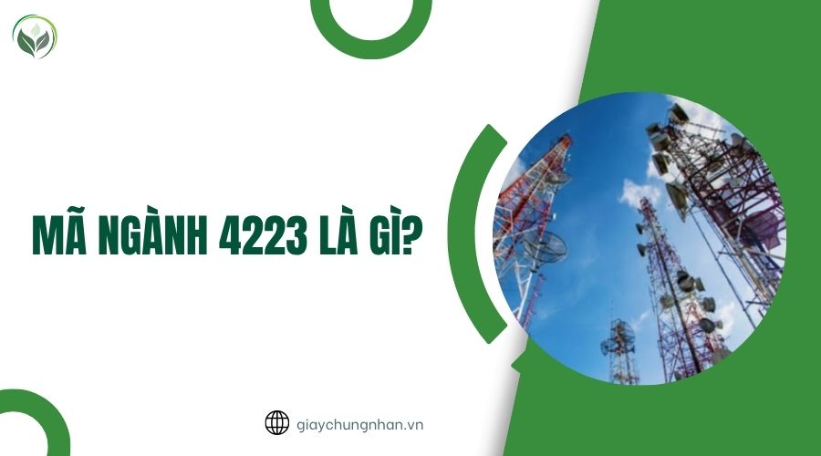 4223 Mã ngành 4223 là gì? Tìm hiểu thêm