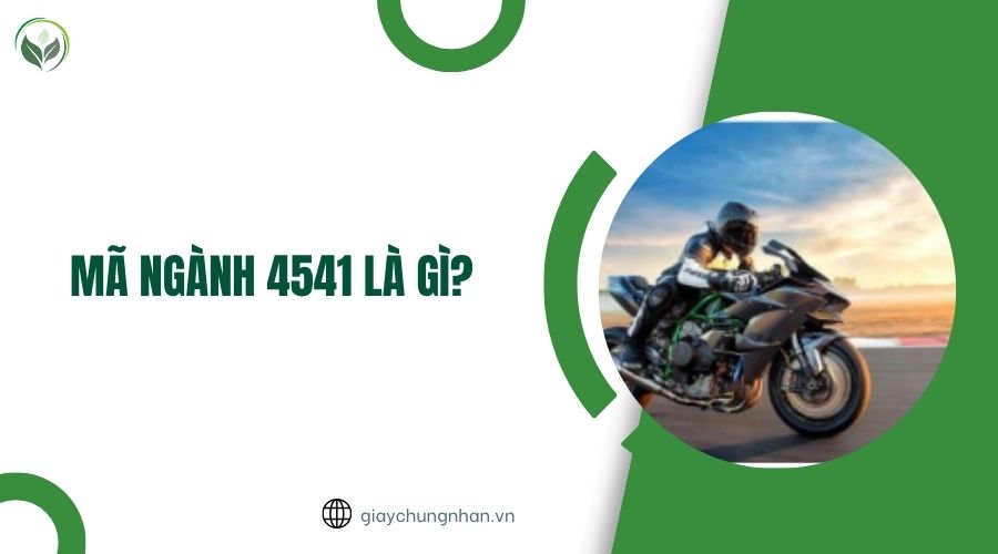 Mã ngành 4541 là gì?.jpg