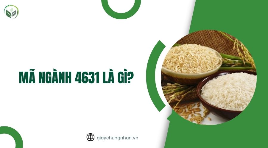 Mã ngành 4631 là gì?